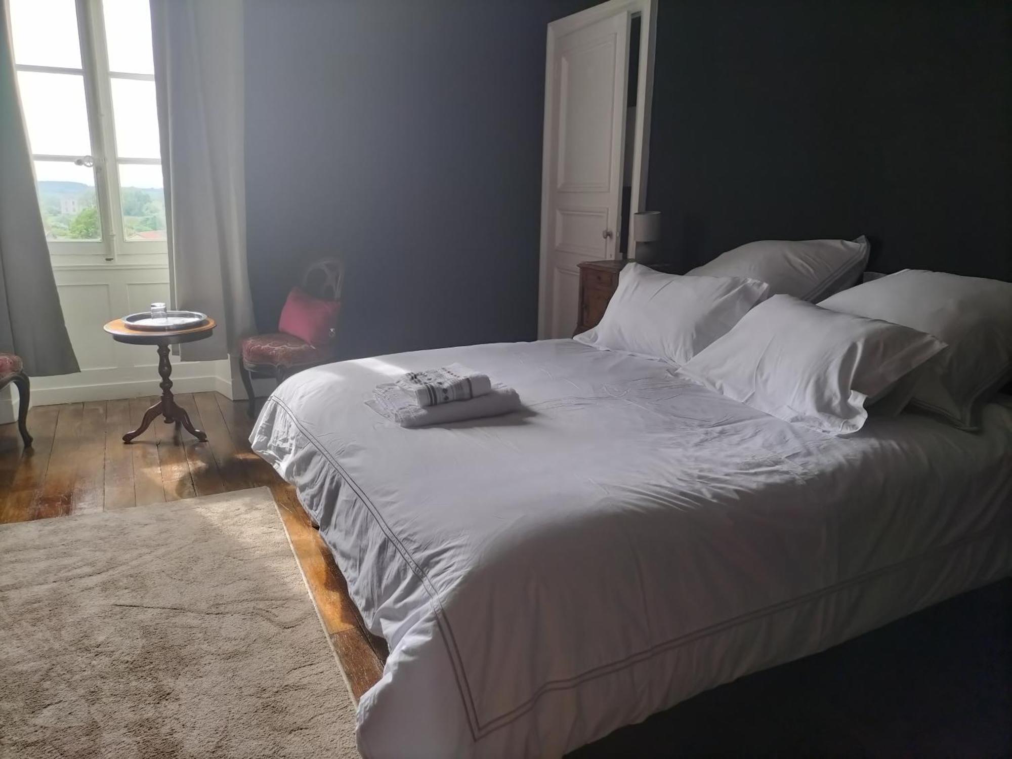 Bed and Breakfast Chateau Le Puybelliard Chantonnay Exteriér fotografie